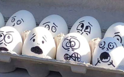 First Annual Egg Drop Goes Egg-ceptionally Well