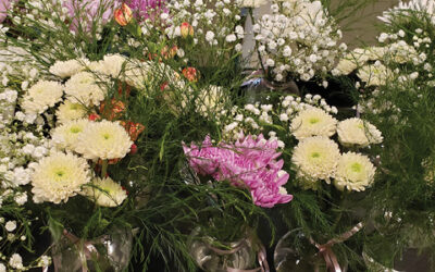 Happy Mother’s Day