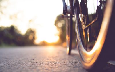 2025 Annual Impact Report – Tailwind